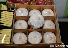 Cocco dalla Thailandia