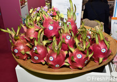 Pitahaya dal Vietnam