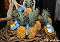 Ananas nello stand della francese Philibon