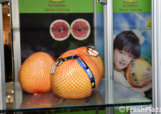 Pomelo nello stand della compagnia portoghese Luis Vicente