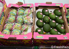 Frutta tropicale nello stand dell'organizzazione spagnola Anecoop