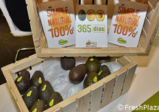 Avocado nello stand della compagnia spagnola Avomix