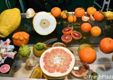 Agrumi e frutta tropicale nello stand della compagnia svizzera Wisha