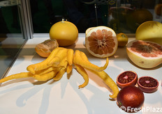 Agrumi nello stand della compagnia svizzera Wisha