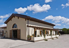 La sede di Mediterranea Belfiore, azienda toscana che si trova a Cecina, nel distretto provinciale di Livorno.