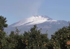 La presenza dell'Etna assicura le particolari condizioni climatiche per la pigmentazione delle arance.
