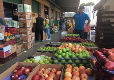 Esposizione di mele, un articolo che viene comprato anche dall'Europa.