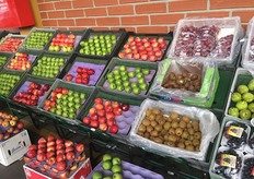 Anche i kiwi sono una referenza importata in controstagione.