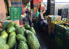 In primo piano frutti di Guanabana.