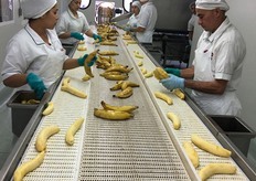 La sbucciatura manuale