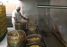 L'area di frittura del Platàno.