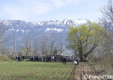 Neve sul monte Morrono e sulla Maiella (2800 mt)