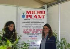 "Microplant di Ivon Disderi: "Da 36 anni esclusivamente piante in alveolo e in vaso da ambiente protetto"."
