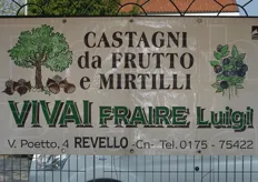 Vivai Fraire di Revello (CN) per produzione di astoni di castagno da frutto, mirtilli giganti e noccioli.