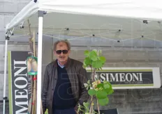 Pericle Simeoni, azienda agricola vivai specializzati in kiwi.