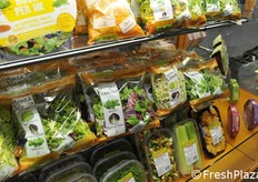 Quarta gamma di Zerbinati