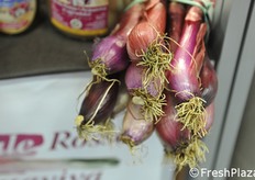 Particolare della cipolla rossa di Acquaviva