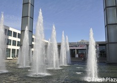 Si è svolta dal 10 al 12 maggio l'edizione 2017 di Macfrut.