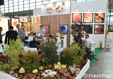 Stand con funghi in primo piano per la Amaglio Fungorobica.