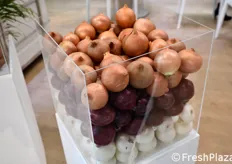 Esposizione di cipolle presso lo stand Ruggiero.