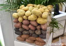 Esposizione di patate presso lo stand Ruggiero.
