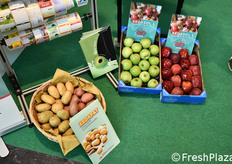 Altre soluzioni Cedax.