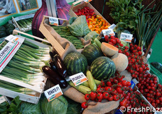 Altre referenze Cora Seeds.