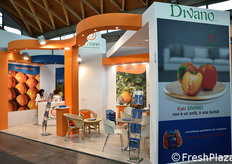 Azienda Divano, specialista in kaki.