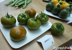 Insalataro a spalla verde, dotato di molte resistenze.