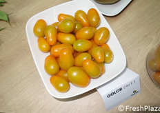 Pomodorino giallo nell'assortimento Gautier.