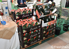 Ma nel piano salutistico rientra anche l'anguria!