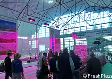 Interesse per le soluzioni Lucchini.