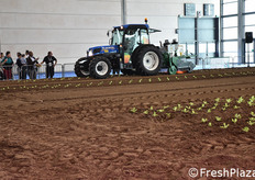 Pirodiserbo in action!