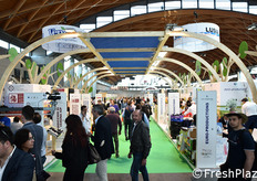 La collettiva del Veneto.