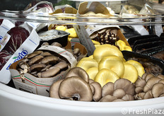 Cestini di funghi OPO Veneto.