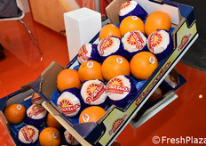 Il nuovo Tarocco tardivo Meli, di pezzatura sostenuta, che consentirà all'azienda Pannitteri di ampliare il calendario di offerta dell'arancia pigmentata.