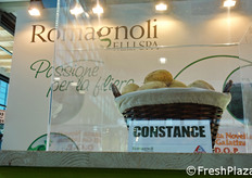 Qui e nelle foto seguenti, alcune nuove cultivar di tuberi con potenziale per il futuro.