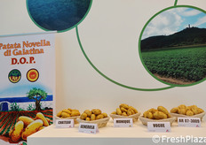 Interessanti selezioni di patate novelle presso lo stand Romagnoli.