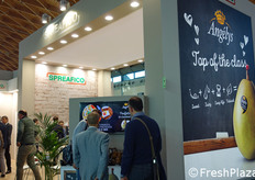 Lo stand Spreafico.