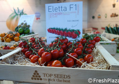 Eletta F1 della Top Seeds.