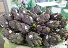 Carciofi della Sardegna.