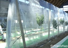 Prove di copertura monofilare.