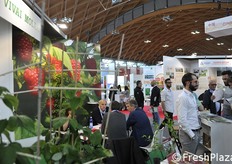 Uno scorcio dello stand dei Vivai Molari.