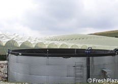 Una delle vasche di raccolta e riutilizzo dell'acqua.