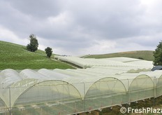 Veduta parziale dei tunnel.