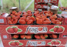 Packaging accattivante per Fragolà.