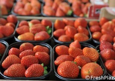 Particolare delle fragole Murano.