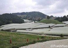 Veduta di un settore dei tunnel.