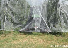 Sequenza di foto sull'apertura delle reti.