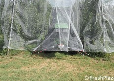 Sequenza di foto sull'apertura delle reti.